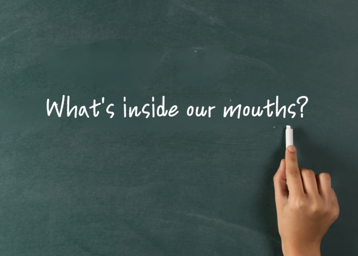 What's inside our mouths?